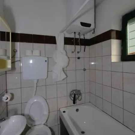 Apartament Borici - Nostalgija Sokobanja