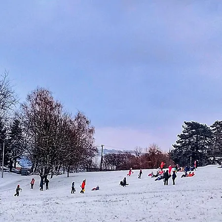 Borici - Nostalgija Apartamento *